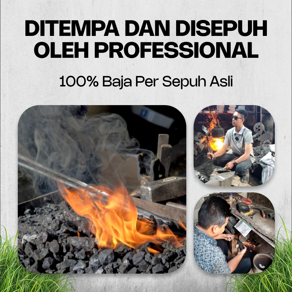 LP-ABP-Ardi-2-1.png